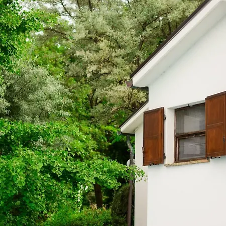 Casa de hóspedes Allocco Pool View Scapezzano